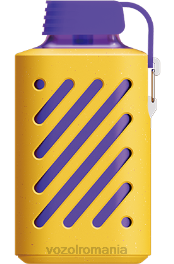 VOZOL GEAR 10000 fructe de padure amestecate 4VLH299 - VOZOL vape arome