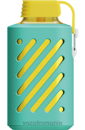 VOZOL GEAR 10000 pepene verde zmeura 4VLH306 - VOZOL vape flavors