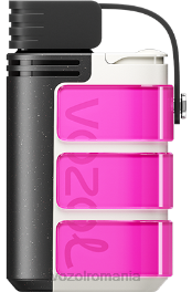 VOZOL GEAR 4000c/6000 Trandafir roz 4VLH320 - VOZOL vape store