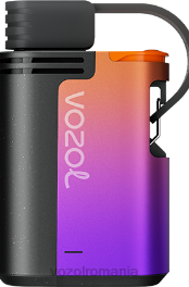 VOZOL GEAR 4000c/6000 furtuna cu fructe de pădure 4VLH324 - VOZOL bucharest