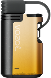 VOZOL GEAR 4000c/6000 kiwi guava fructul pasiunii 4VLH326 - VOZOL vape flavors
