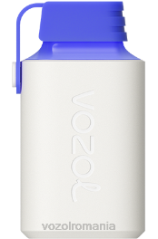 VOZOL GEAR 600 blue razz lemon 4VLH346 - VOZOL vape flavors