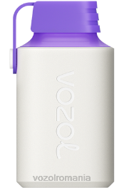 VOZOL GEAR 600 energia fructelor de pădure 4VLH350 - VOZOL vape store