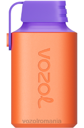 VOZOL GEAR 600 gheață din struguri de afine 4VLH348 - VOZOL review