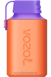 VOZOL GEAR 600 gheata de mure 4VLH360 - VOZOL vape store