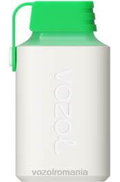 VOZOL GEAR 600 gheata de pepene verde 4VLH359 - VOZOL vape arome