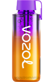 VOZOL NEON 10000 fructe de padure amestecate 4VLH235 - VOZOL vape buy