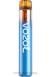 VOZOL NEON 800 furtuna cu fructe de pădure 4VLH270 - VOZOL vape store