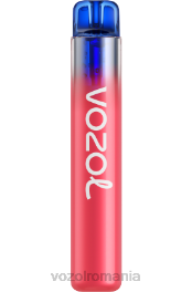 VOZOL NEON 800 gheata de afine 4VLH283 - VOZOL vape Romania
