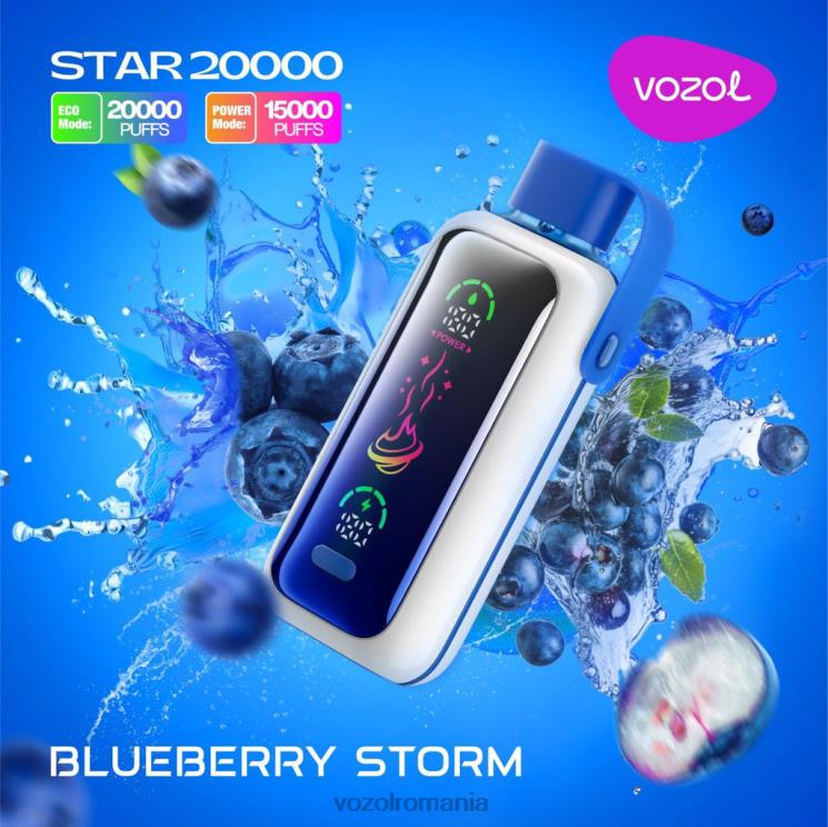 VOZOL STAR 20000 furtuna de afine 2R4465 | Vozol Vape Store