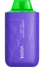 VOZOL STAR 6000/8000 v2 furtuna cu fructe de pădure 4VLH59 - VOZOL vape arome