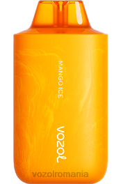 VOZOL STAR 6000/8000 v2 gheata de mango 4VLH62 - VOZOL vape
