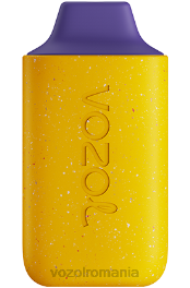 VOZOL STAR 6000 lapte de mure din fructul pasiunii 4VLH105 - VOZOL vape buy