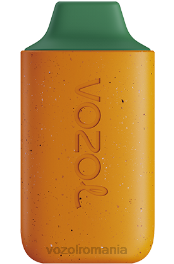 VOZOL STAR 6000 mango piersici pepene verde 4VLH120 - VOZOL vape store