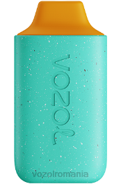 VOZOL STAR 6000 pumn de miere 4VLH114 - VOZOL bucharest