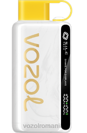 VOZOL STAR 9000/12000 gheață de cocos cu ananas 4VLH46 - VOZOL vape flavors