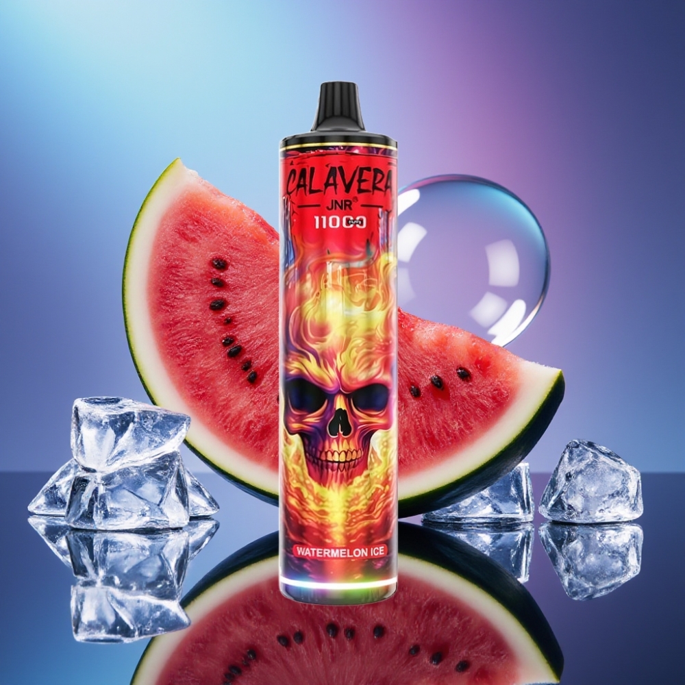 JNR Calavera 11000 Pufuri Disposable Vape Port Type-C Pepene Gheata