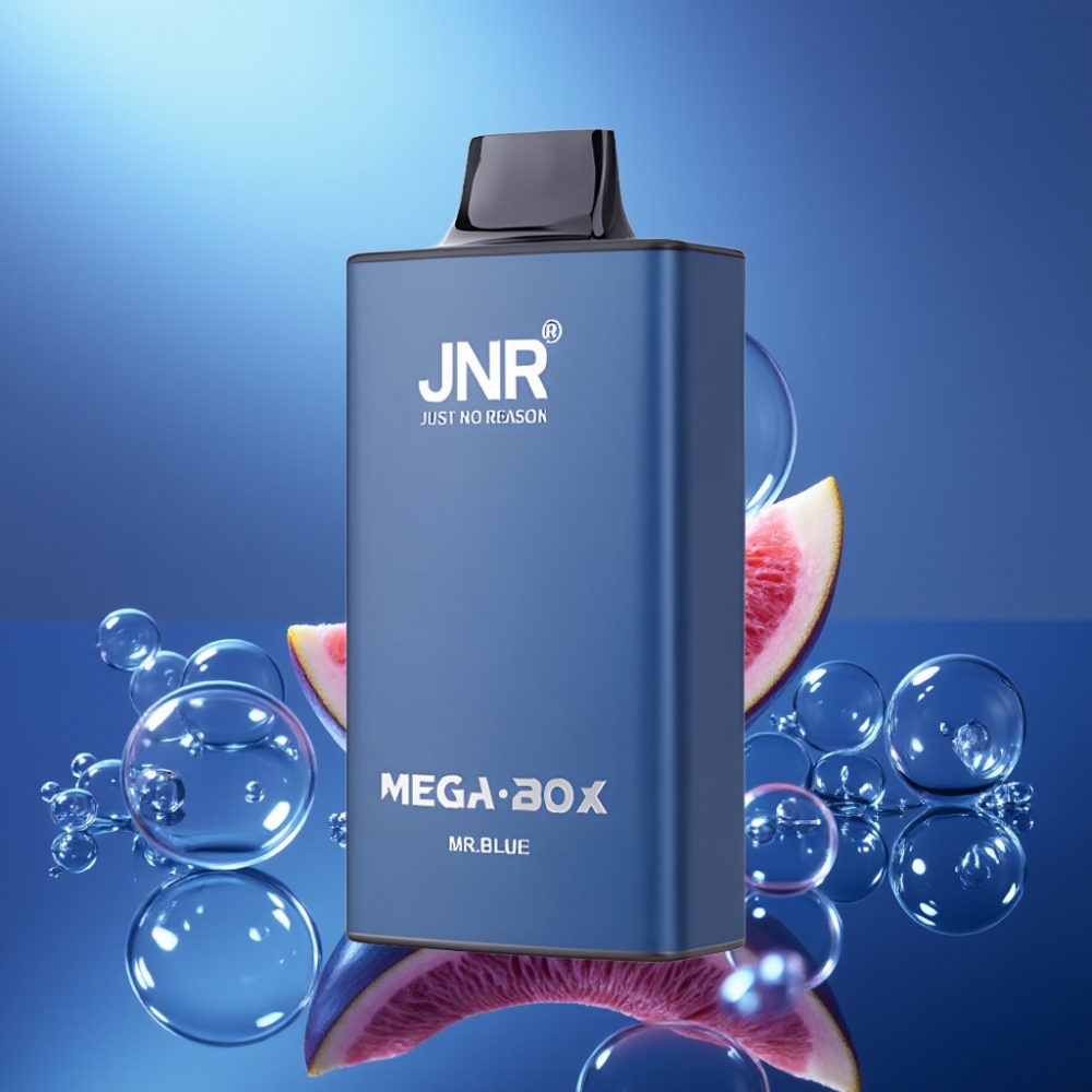 JNR Mega Box 25000 Puffs Disposable Vape Domnul Albastru cu 30ml E-lichid
