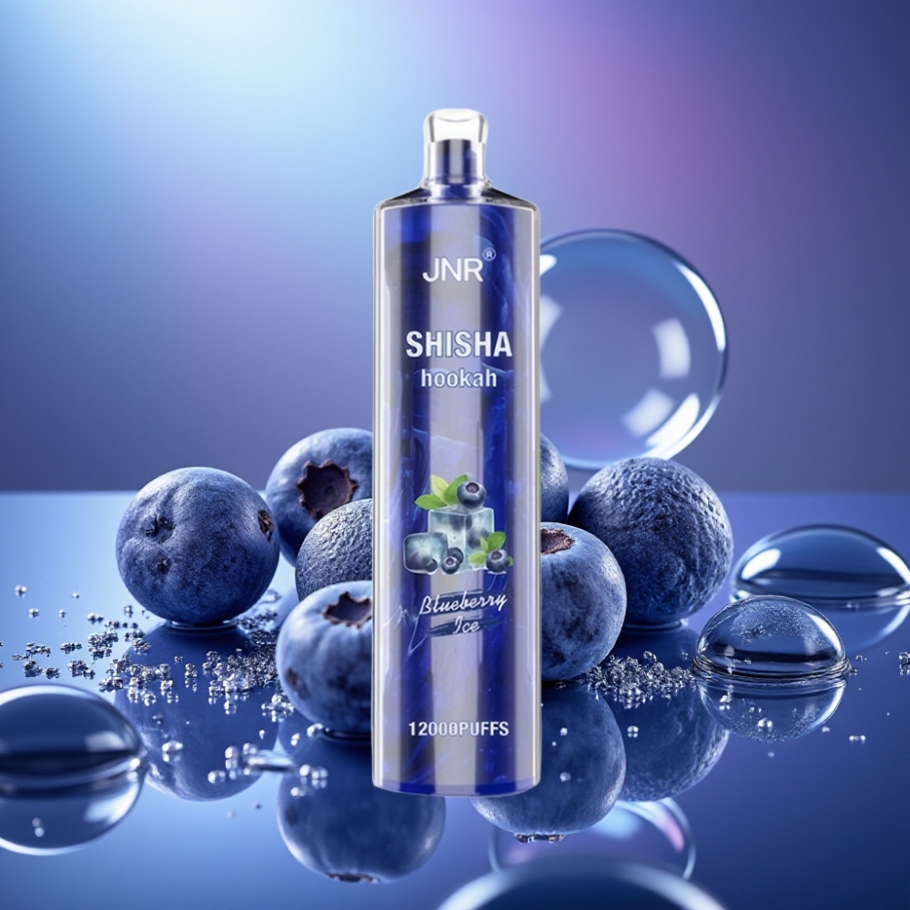 JNR Shisha Hookah 12000 Puffs 24ml Afinează Gheață Reîncărcabil Type-C