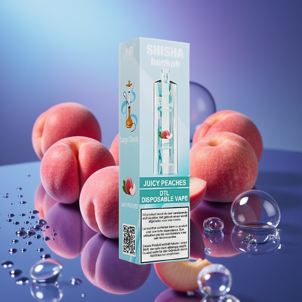 JNR Shisha Hookah 12000 Puffs 750mAh Disposable Vape Piersici Zemoase
