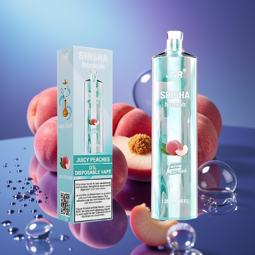 JNR Shisha Hookah 12000 Puffs 750mAh Disposable Vape Piersici Zemoase