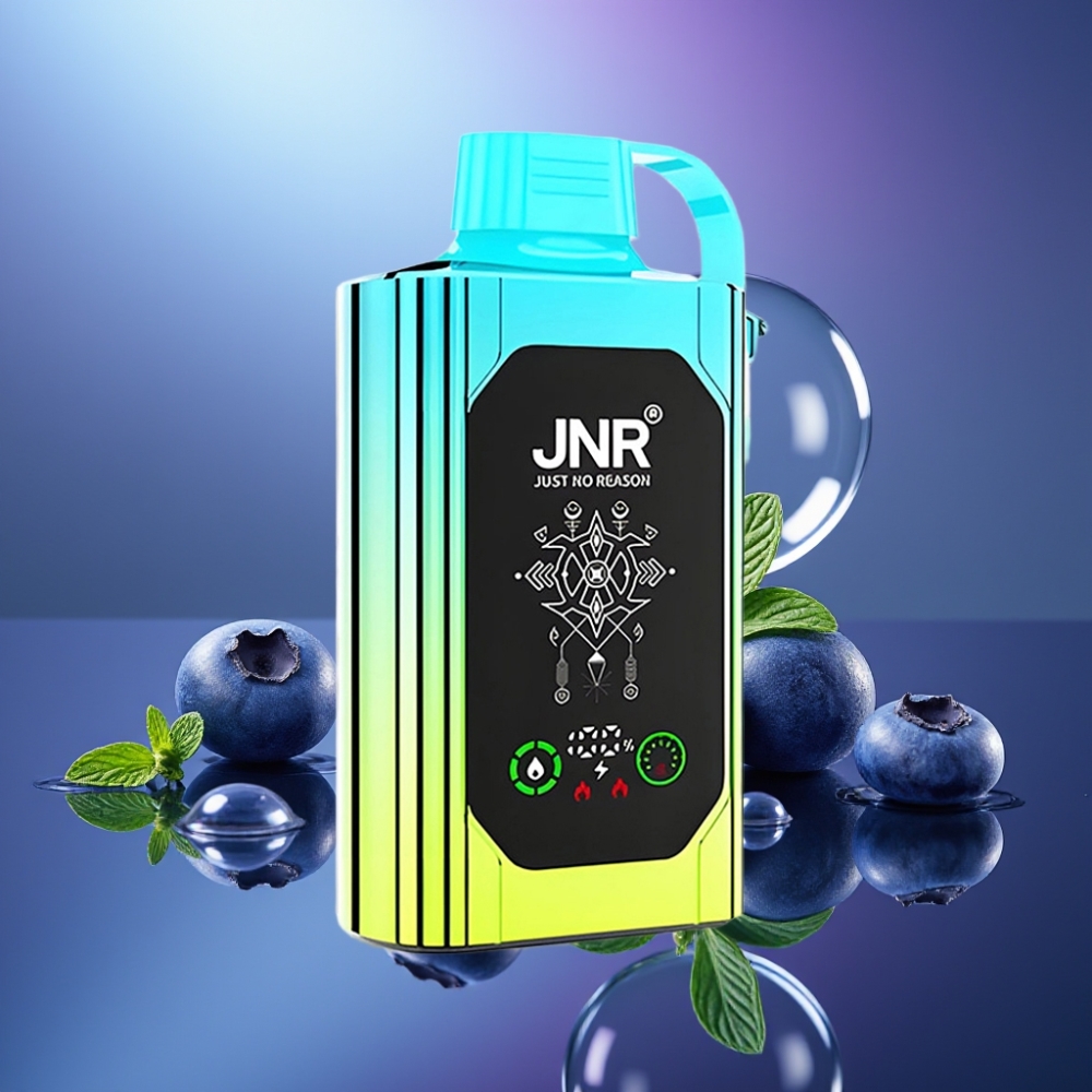 JNR Shisha Hookah Box 20500 Puffs Afină Mentă Dual Mesh Coil Type-C
