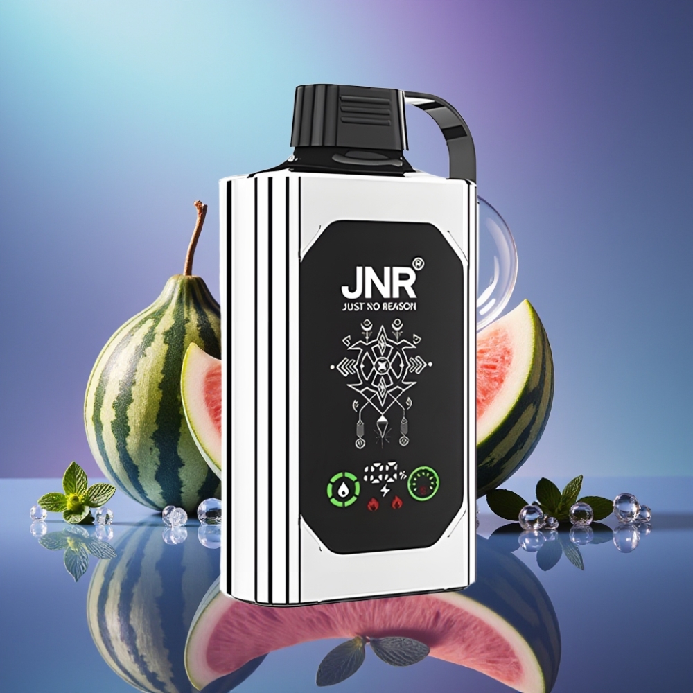 JNR Shisha Hookah Box 20500 Puffs Dual Mesh Coil Dublu Pepene Menta