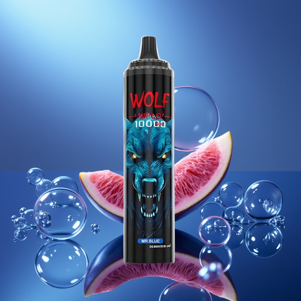 JNR Wolf Niplo 10000 Pufări Domnul Albastru cu Încărcare Rapidă Type-C