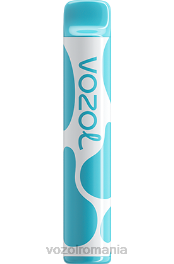 VOZOL JOYGO 600 afine zmeura acra 4VLH377 - VOZOL vape sale