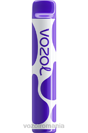 VOZOL JOYGO 600 fructe de padure amestecate 4VLH388 - VOZOL review